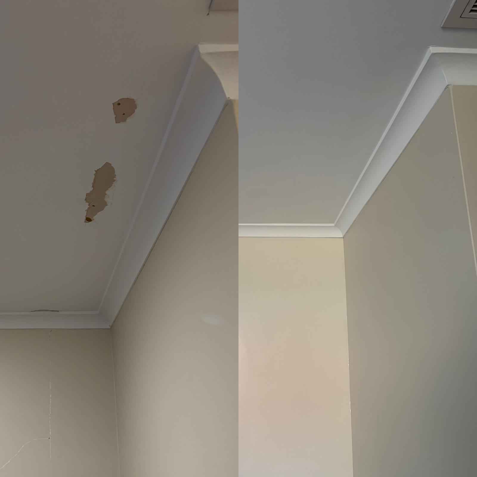 Interior and exterior painting work